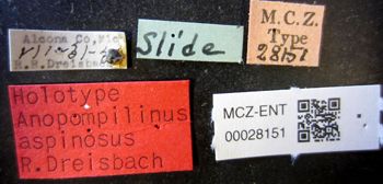 Media type: image;   Entomology 28151 Aspect: labels